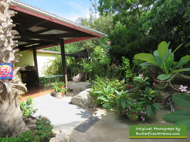 Entrance area at The Butterfly Farm in Oranjestad