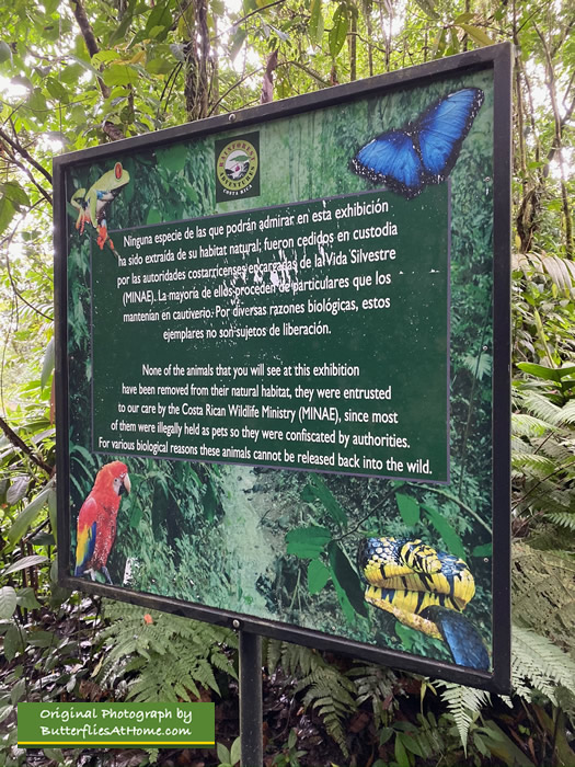 Sign about the Rainforest Adventures exhibition and its care of animals