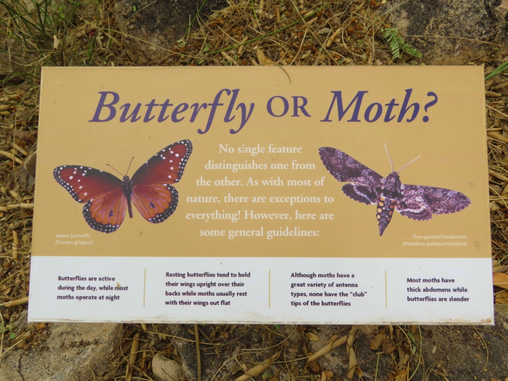 Butterfly or Moth? Sign at the Arizona-Sonora Desert Museum in Tucson, Arizona