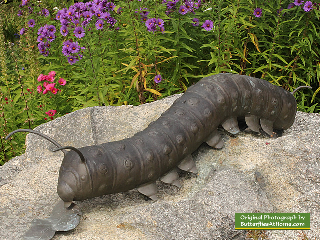 Caterpilllar sculpture at the Charlotte Rhoades Park Butterfly Garden