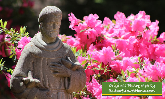 St. Francis of Assisi ... guardian of our gardens! 