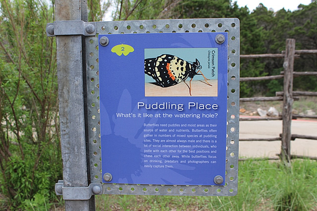 Butterfly Puddling Place sign at the Lady Bird Johnson Wildflower Center in Austin