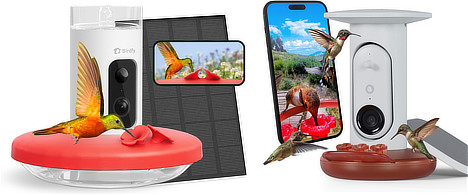 Hummingbird feeders with cameras and smartphone apps ... at Amazon