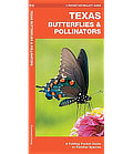 Texas Butterflies and Pollinators ... at Amazon